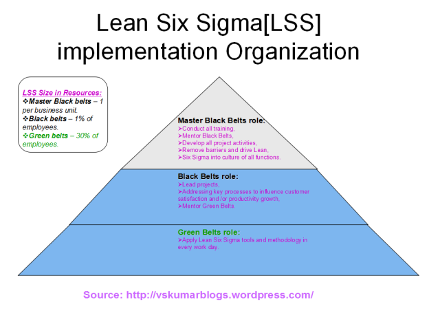 What is Lean Six Sigma [LSS] Organization ? | Building Cloud cum DevOps ...